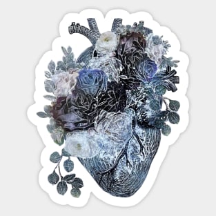 Human heart with blue and white roses, blue navy color Sticker